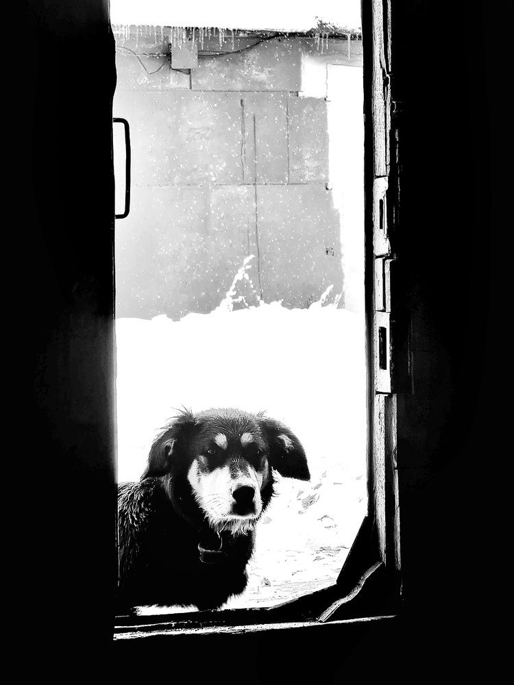 Фотография автора Валентин Науменков