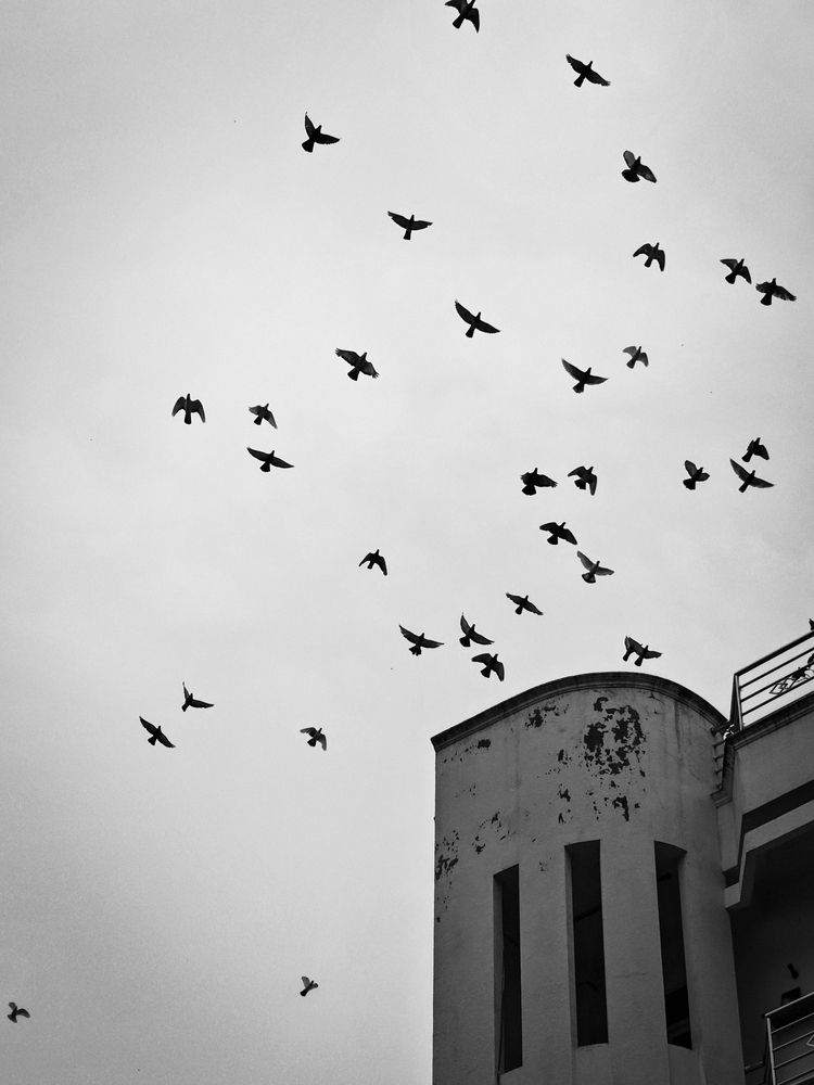 Фотография автора Phuong Thoa Vuong Thi