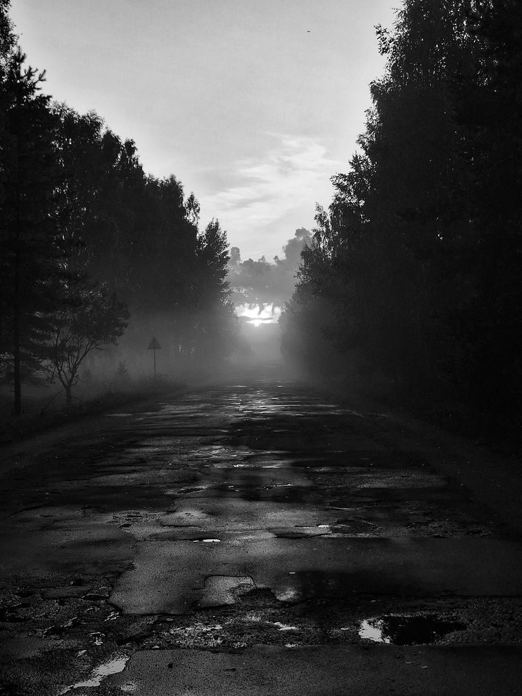 Photograph by Наталья Шехова