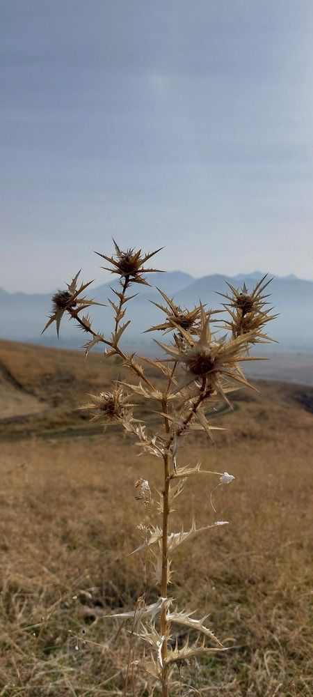 Photograph by Светлана