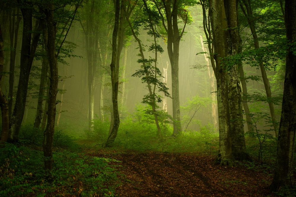 Photograph by Holhos Nick