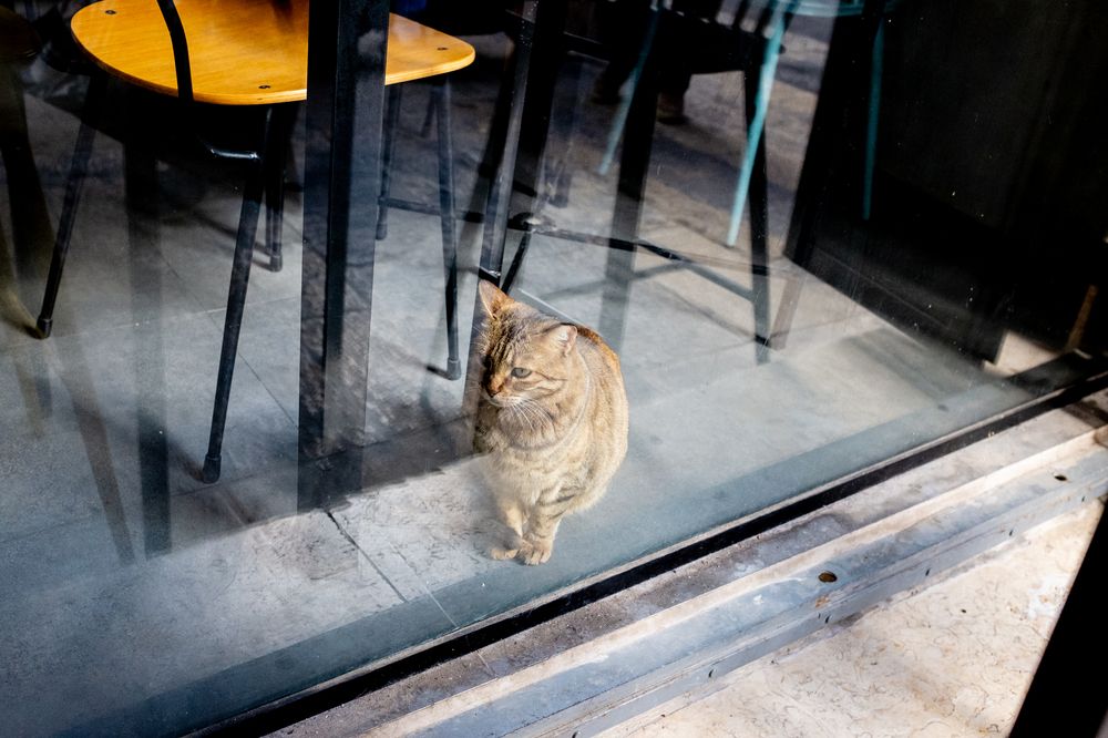 Photograph by Mike Sappojnikoff