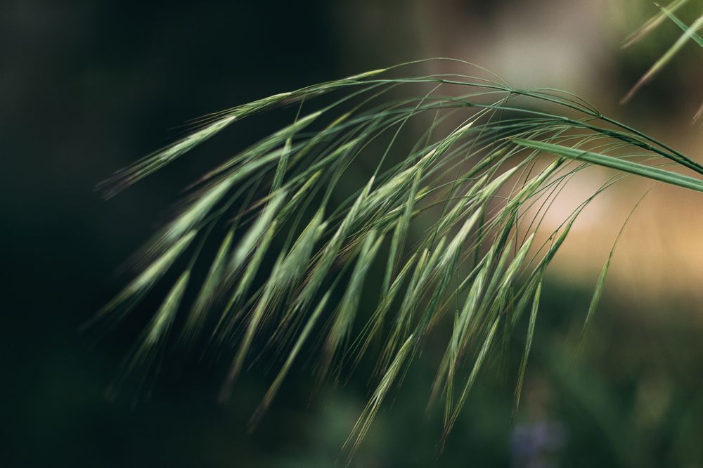 Photograph by Остапенко Алина