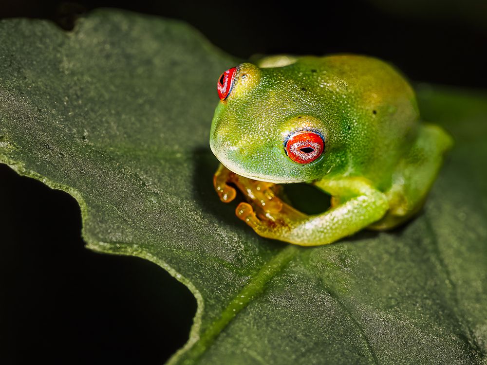 Photograph by Mauro Regalado Soares