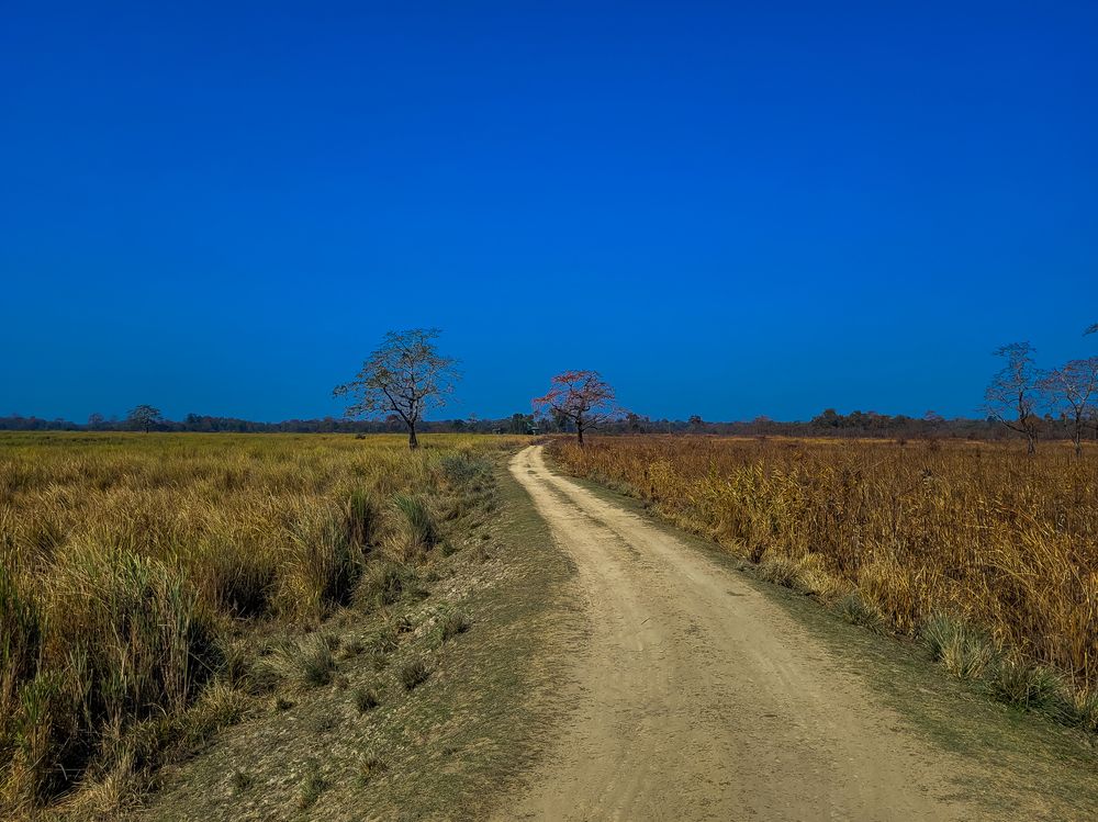 Photograph by Pramod Bayya