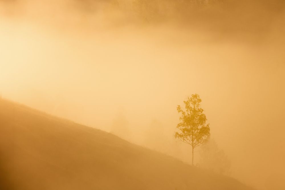 Photograph by Holhos Nick