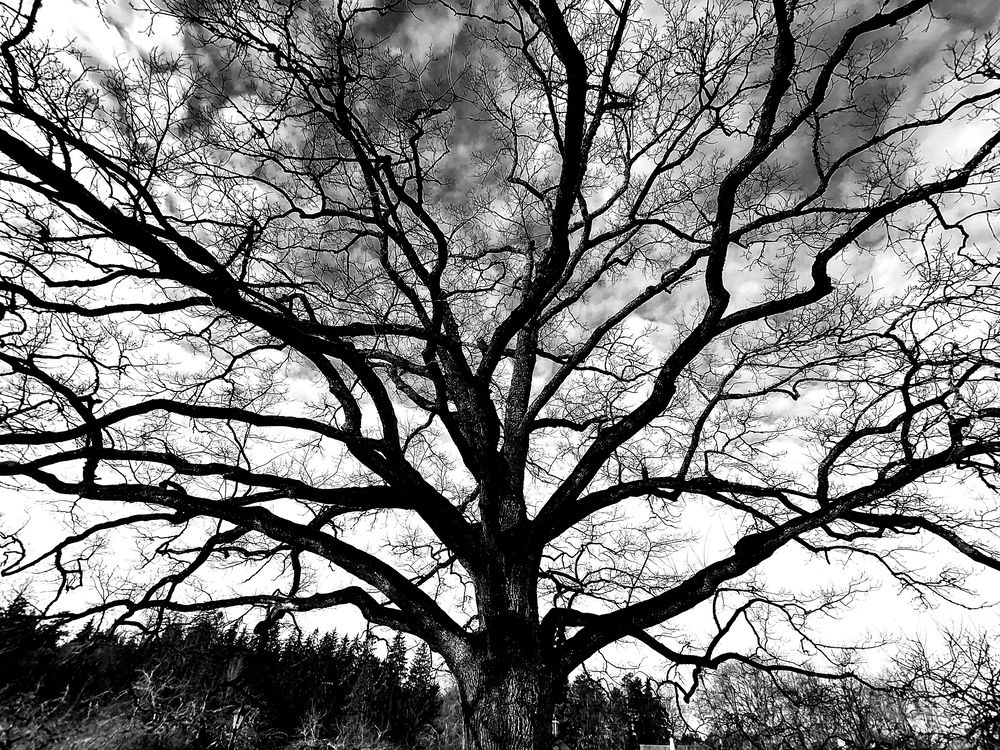 Photograph by Анна Корюшкина