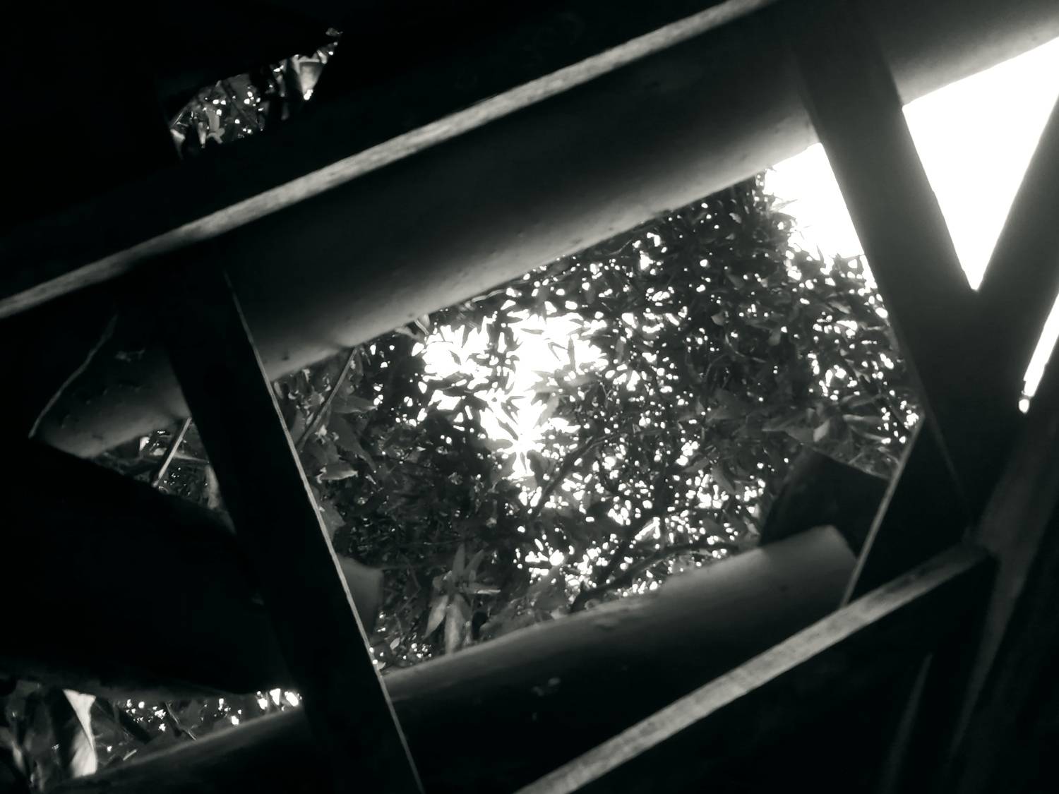 Photo #11864667