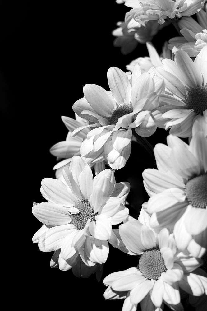 Photograph by Остапенко Алина