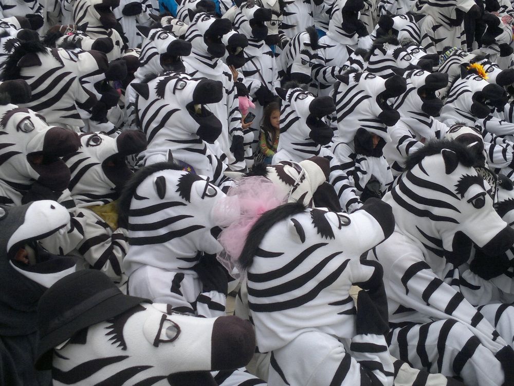 Фотография автора Jorge Prudencio