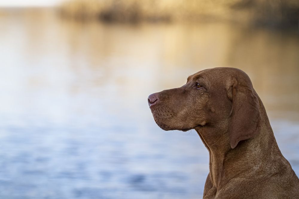 Photograph by Эльнара Исаева