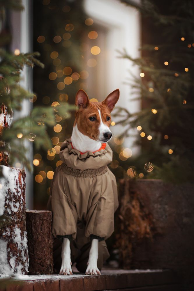 Photograph by Варвара