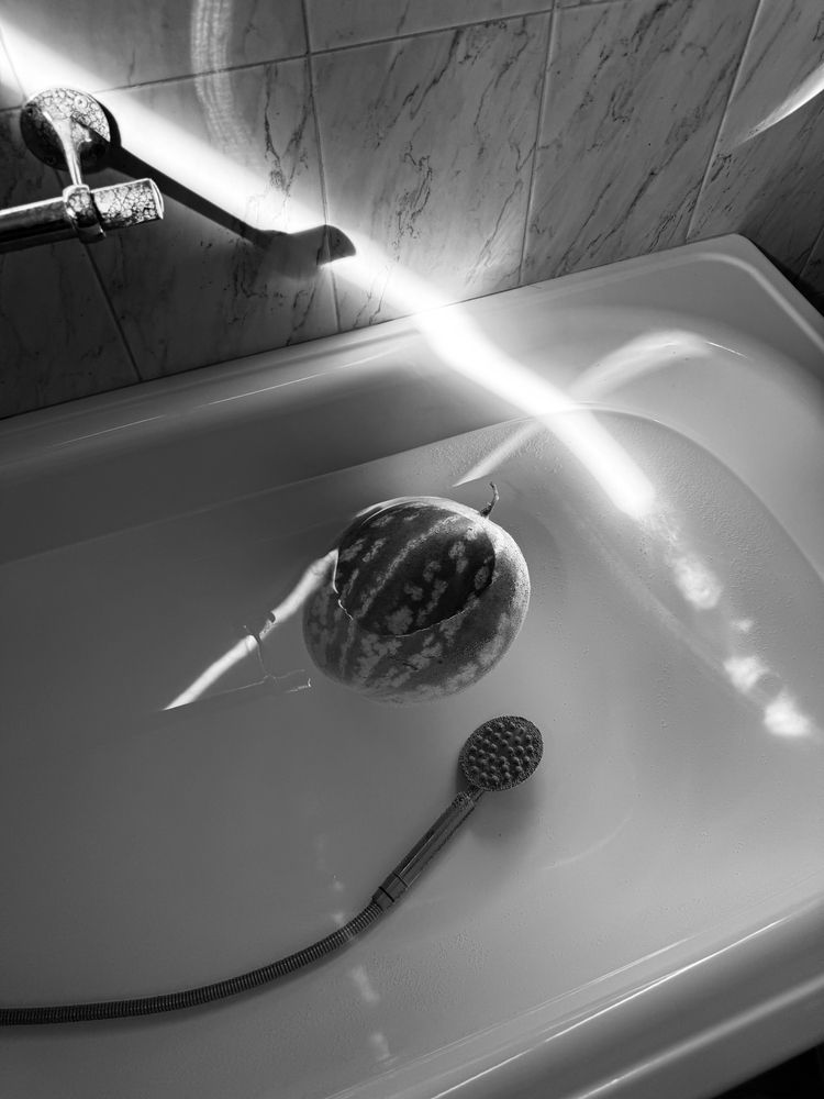 Фотография автора Camilla Burkhanova