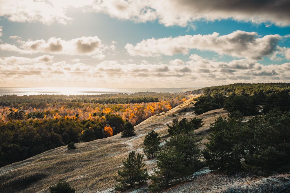 Photograph by Andrey Budylin