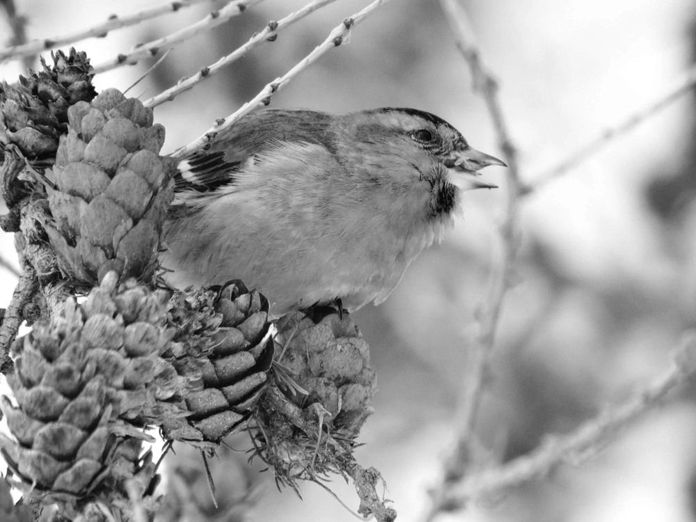 Photograph by Анжелика Трошина