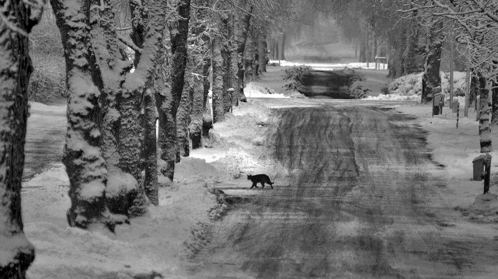 Зимняя дорога