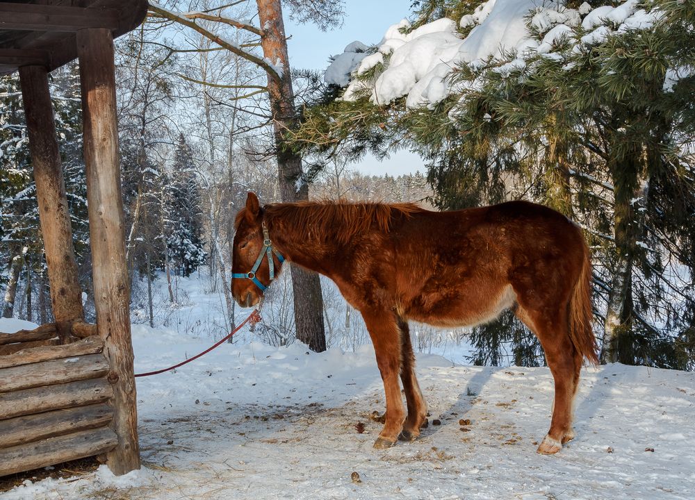 Photograph by Наталья Колеватова