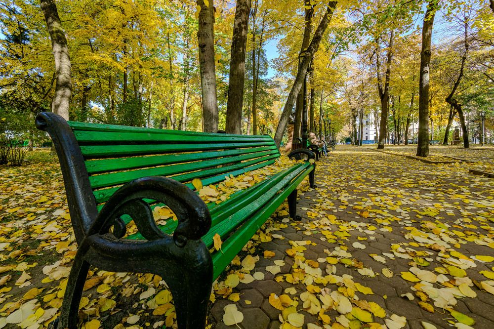 Photograph by Олег Ершов