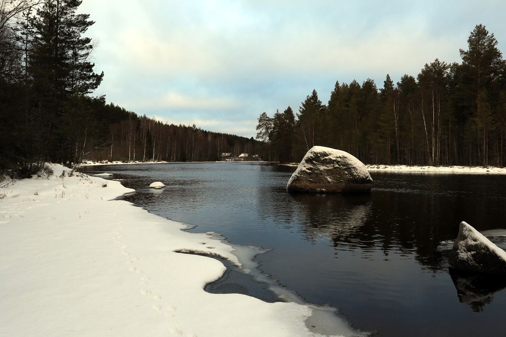 Фотография автора Колосова Елена