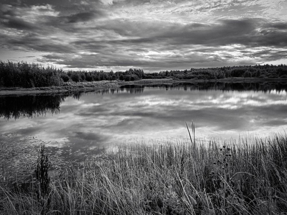 Photograph by Артём Шестаков