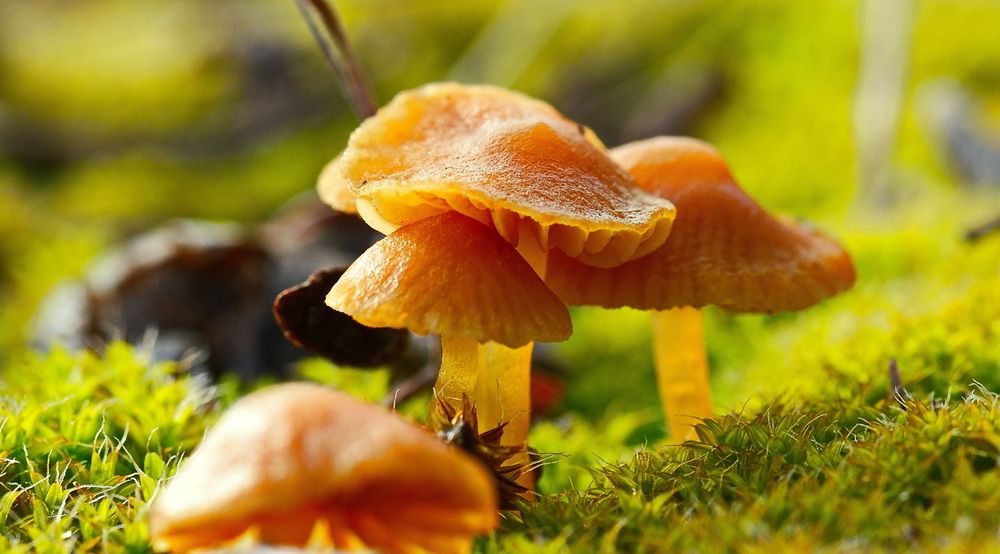 Photograph by Александр