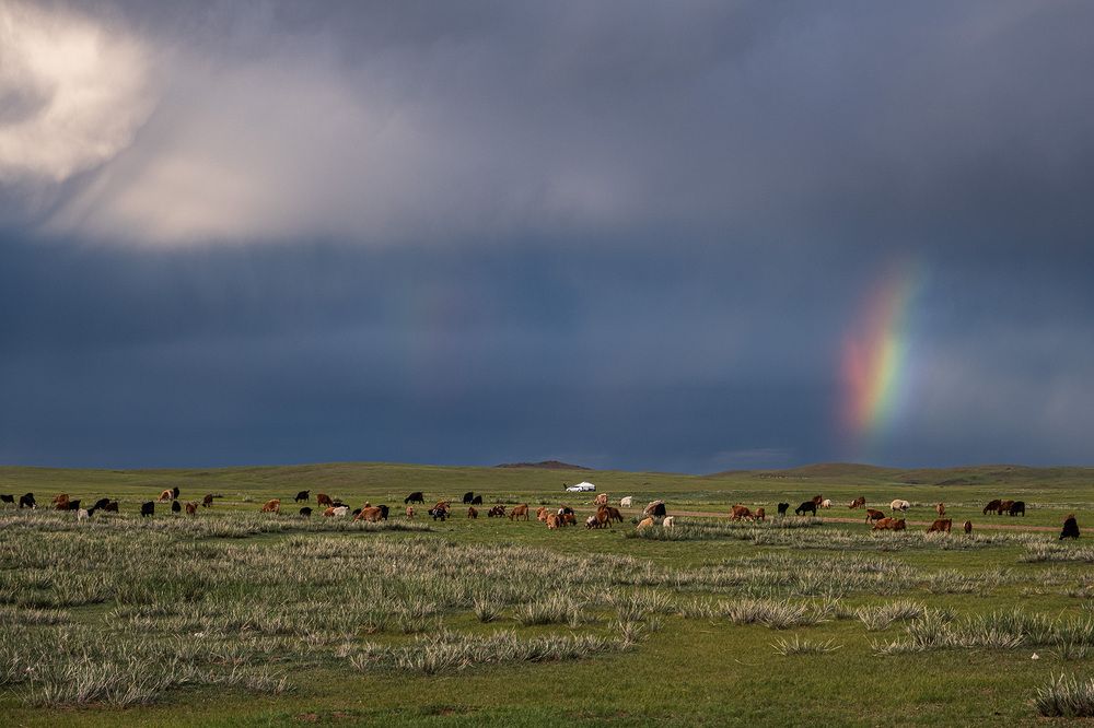 Photograph by Галина Юдина