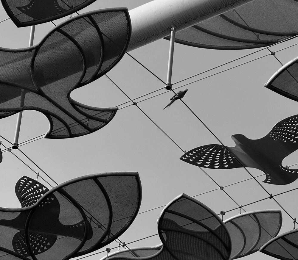 Photograph by Марина Кобелева