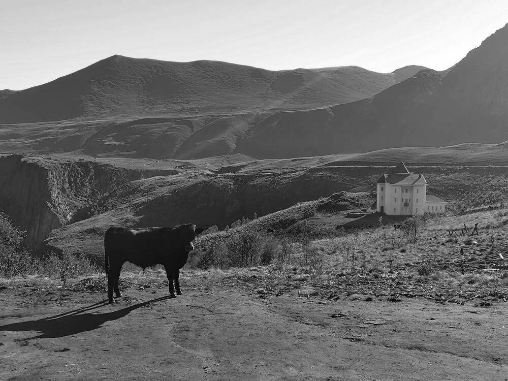 Photograph by Наталья Миронова