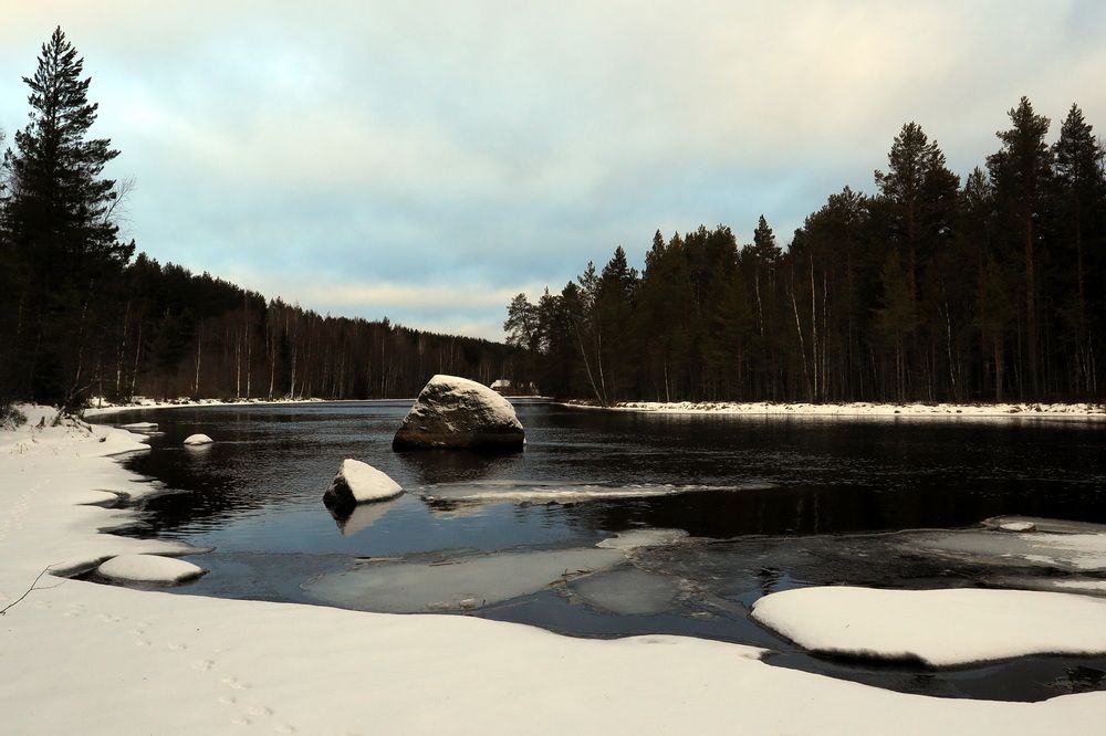 Фотография автора Колосова Елена