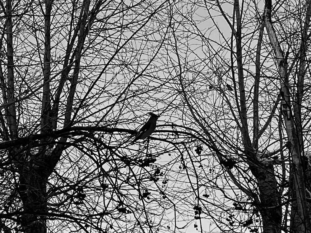 Photograph by Наталья Тарабычина