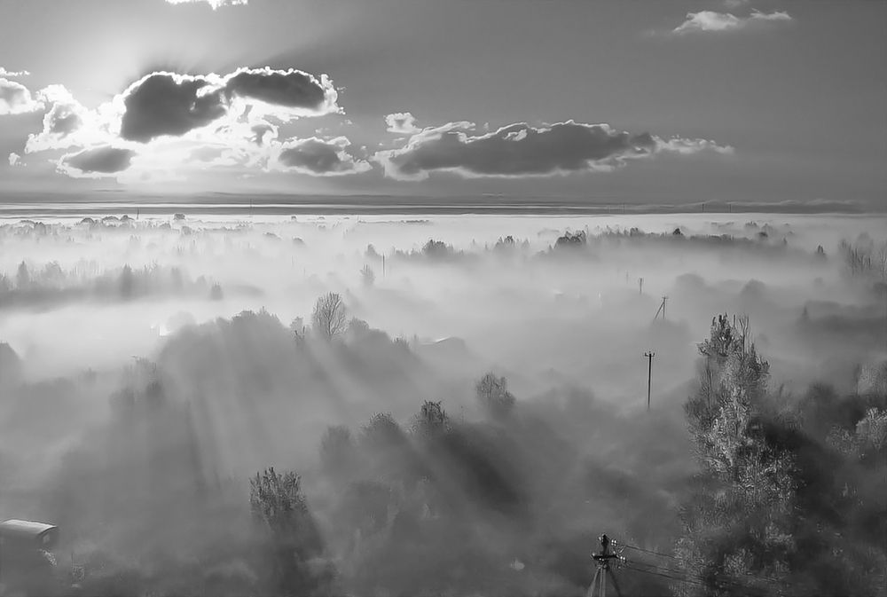 Photograph by Алексей Мякота