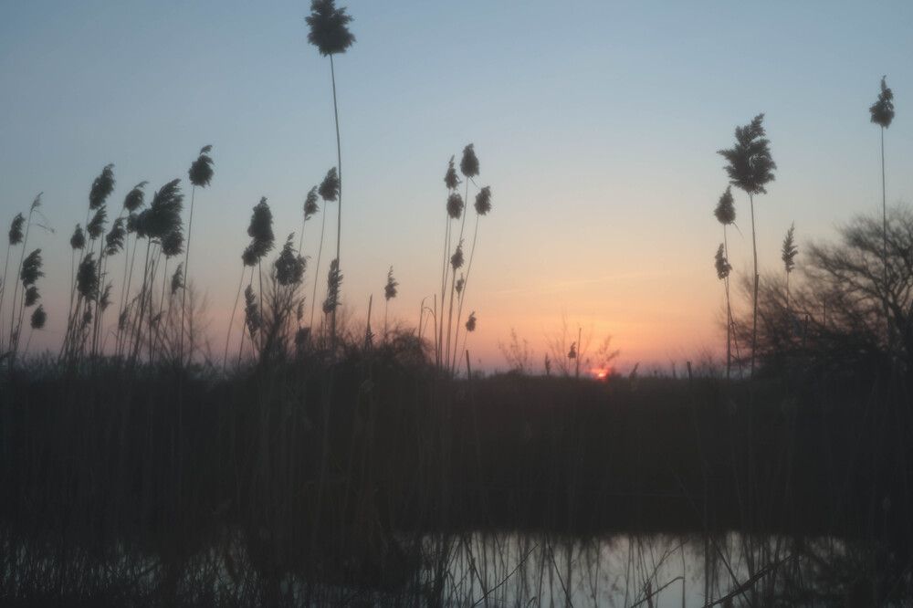 Фотография автора Максим Беднев