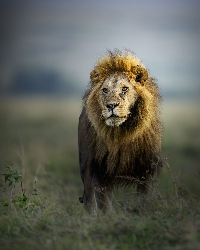 Photograph by Pothanis Sudhir