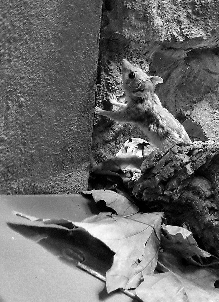 Photograph by Савоцкий Роман