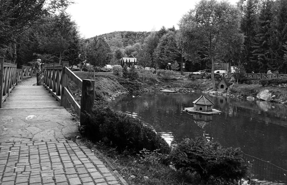 Photograph by Савоцкий Роман