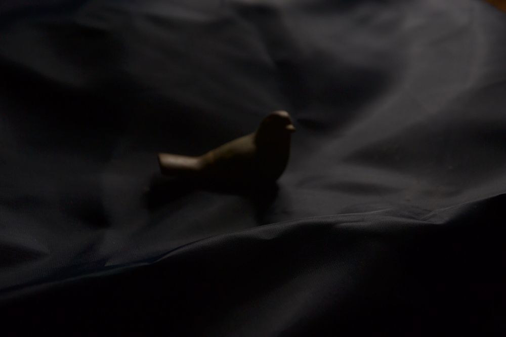 Фотография автора Ileana Andrea Gavinoser