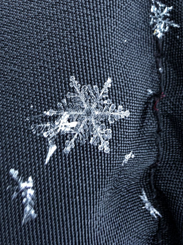 Photograph by Наташа Черепенина