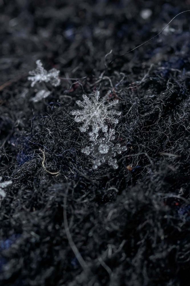 Photograph by Сергей Назаредский