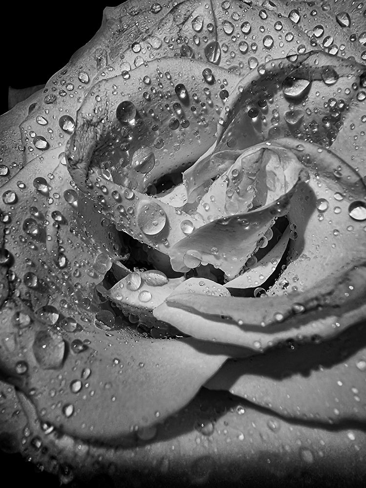 Photograph by Мария Пояскова