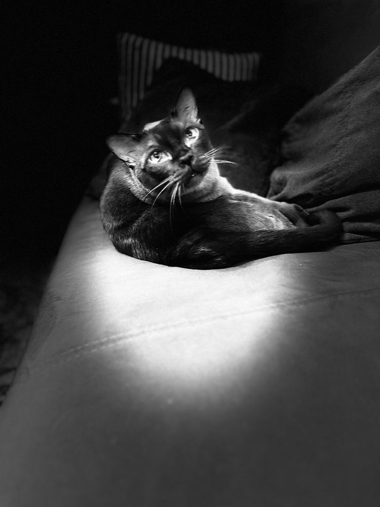 Photograph by Юлия Давшан