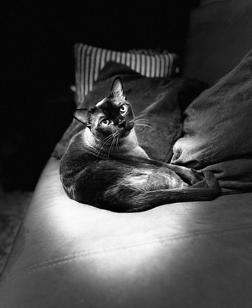 Photograph by Юлия Давшан