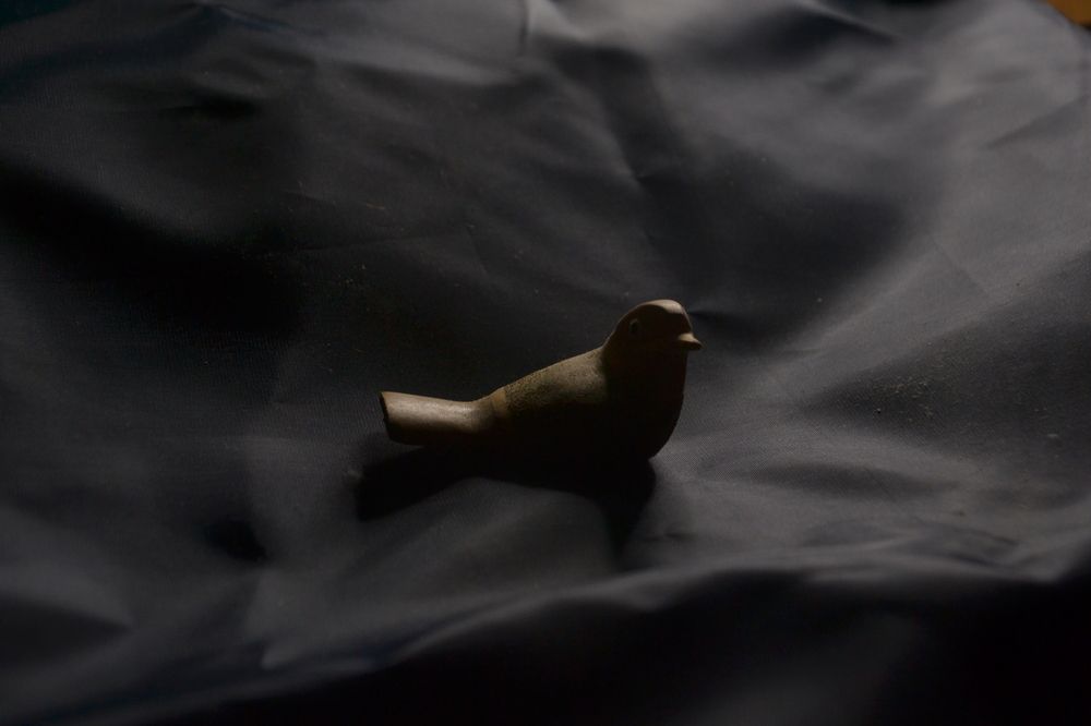 Фотография автора Ileana Andrea Gavinoser