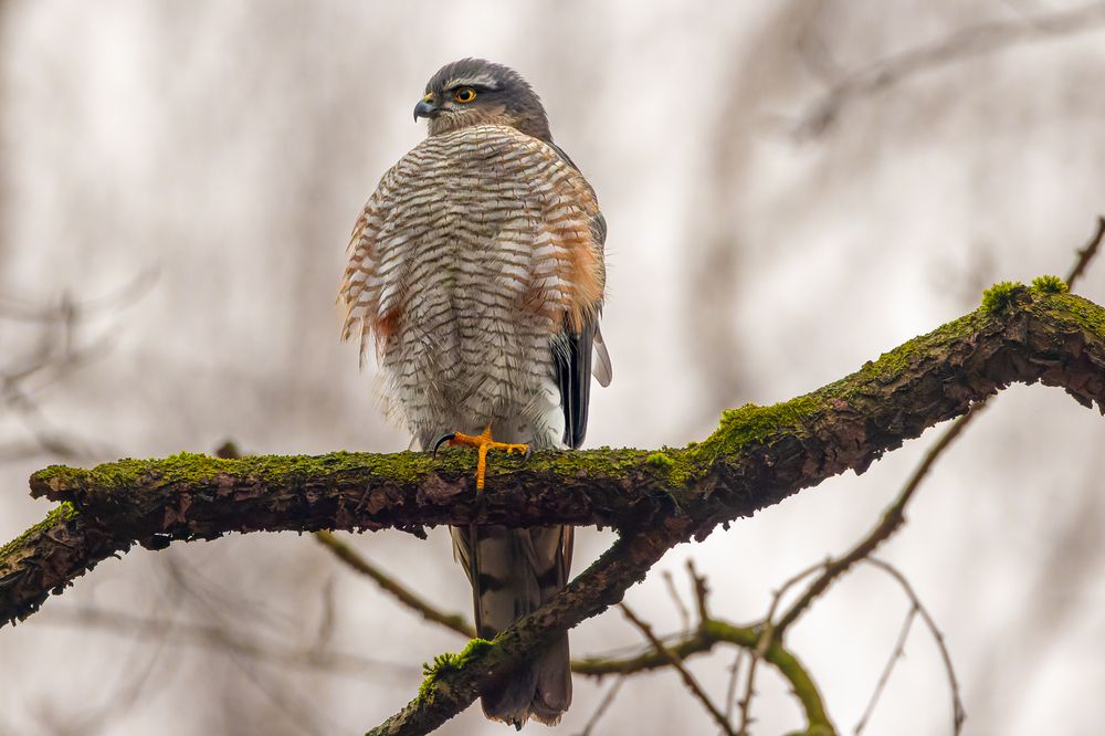 Photograph by Вера Машина