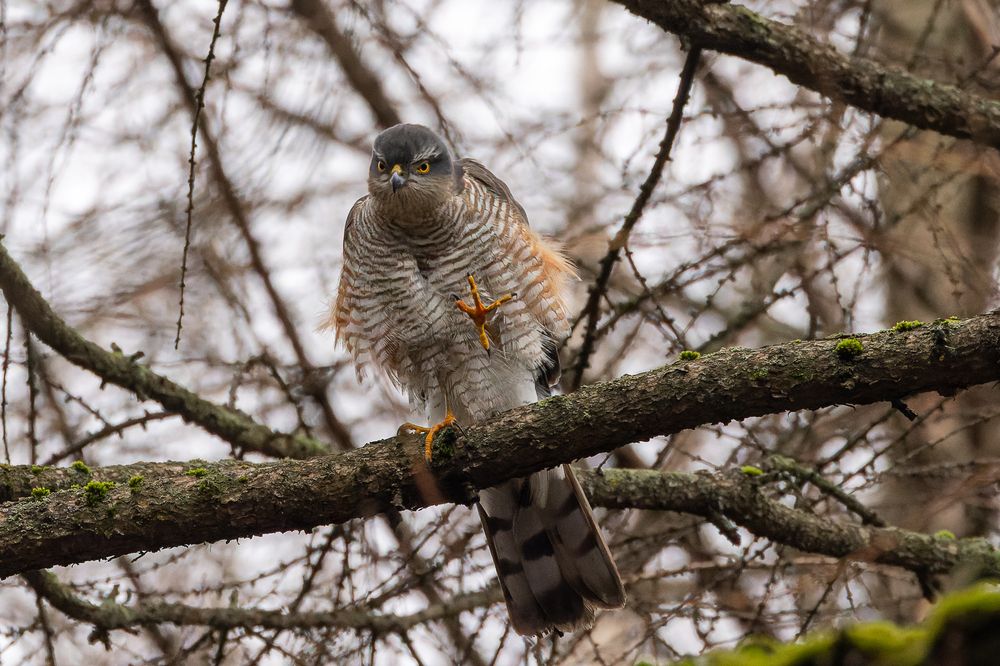 Photograph by Вера Машина