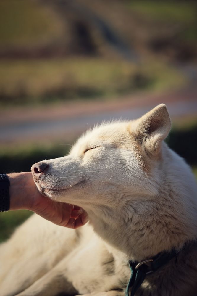 Почувствуй тепло друга и рук.