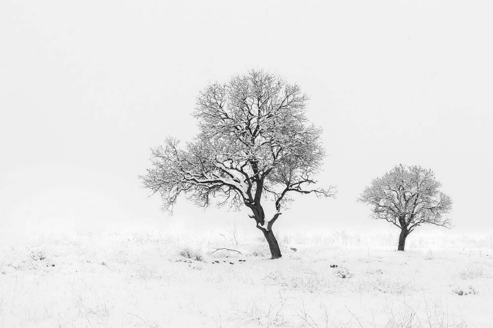 Фотография автора payman Mollaie