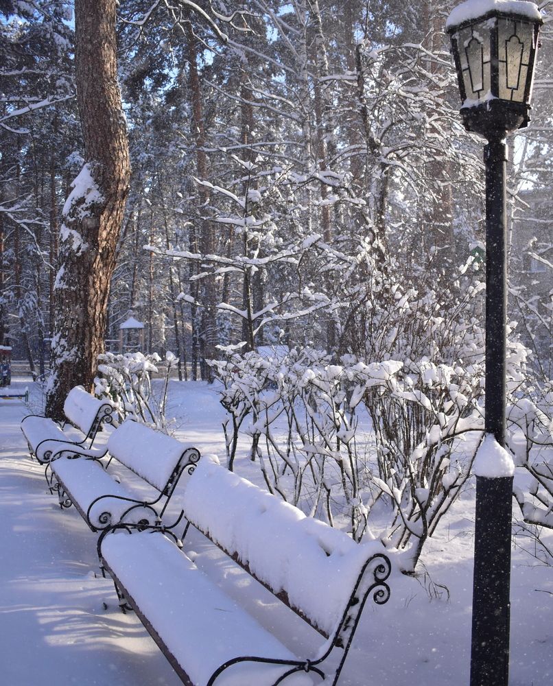 Photograph by Галина Купцова