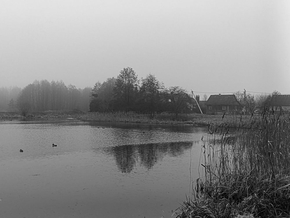 Photograph by Мария Самолевич