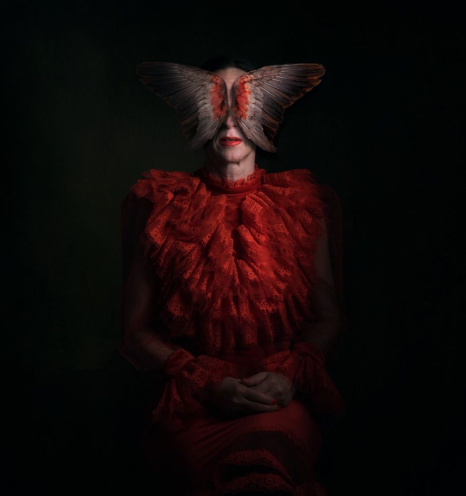 Photograph by ovidiu horneac