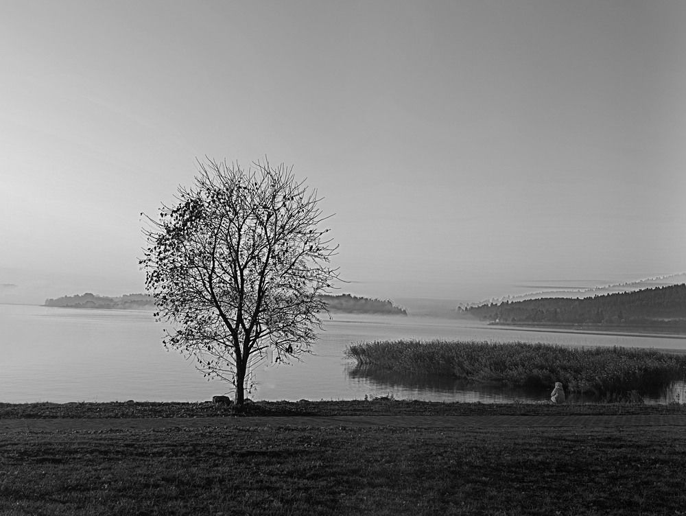 Photograph by Мария Самолевич